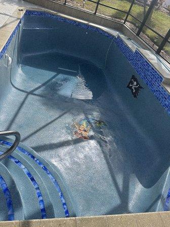 Mike's Pool Shack