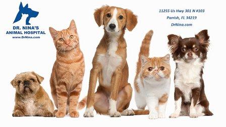 Dr. Nina's Animal Hospital Parrish