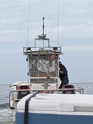 Sea Tow Crystal River/Homosassa