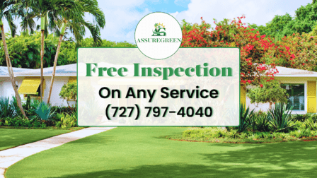 Assuregreen Property Services