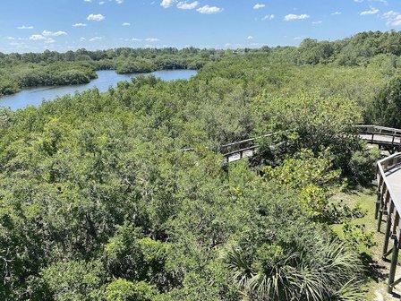 Wall Springs Park Observation Tower