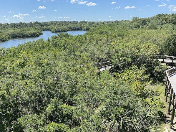 Wall Springs Park Observation Tower
