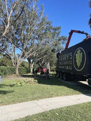 Terry's Tree Service