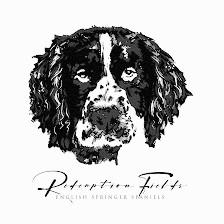Redemption Fields Springer Spaniels