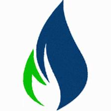Bed Bugs Florida Heater Rentals