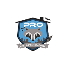 Pro Wildlife Removal