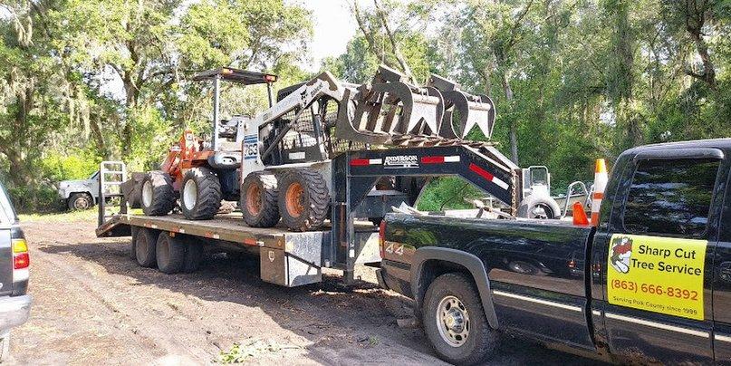 Sharp Cut Tree Service