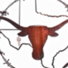 Texas Belts