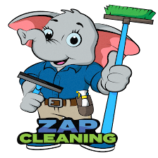 ZAP Cleaning