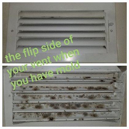 Suncoast Ducts