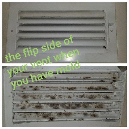 Suncoast Ducts