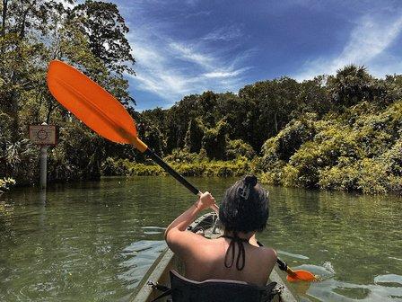 Weeki Wachee Kayak & Canoe