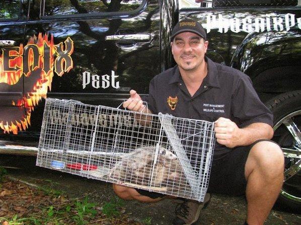 Phoenix Pest Management and Wildlife Control