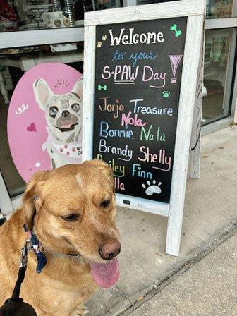 Woof Gang Bakery & Grooming West Bradenton