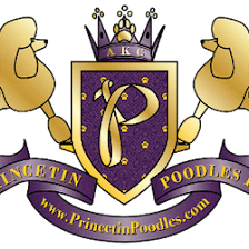 Princetin Poodles LLC