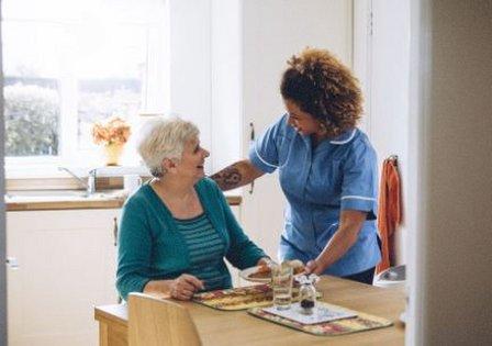 Alternative Homemaking With A Heart of SW Florida, LLC