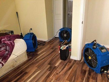 Bed Bugs Florida Heater Rentals