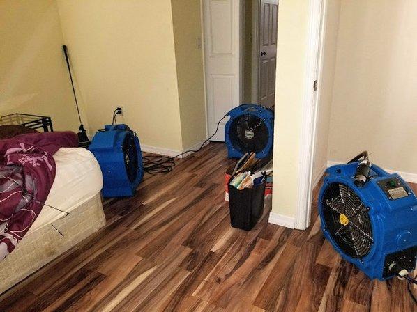 Bed Bugs Florida Heater Rentals