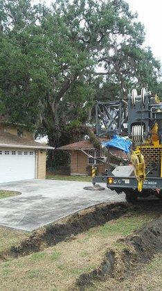 IronHead Tree Service