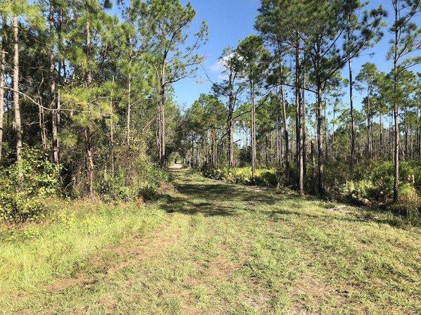 Crooked Lake Wildlife and Environmental Area
