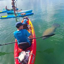 SURFIT USA | Kayaks, Paddleboards & Surf