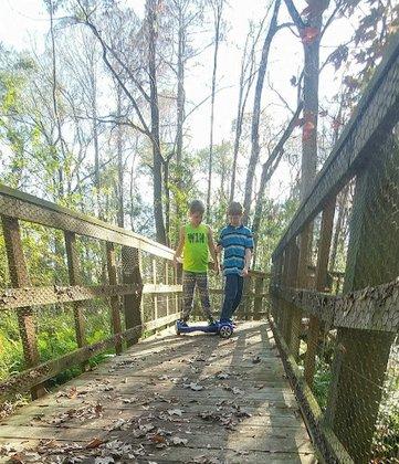 Upper Pithlachascotee River Preserve