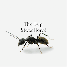 Pest Control General Store