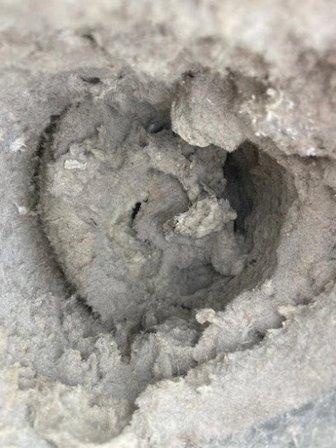 Express Dryer Vents Cleaning