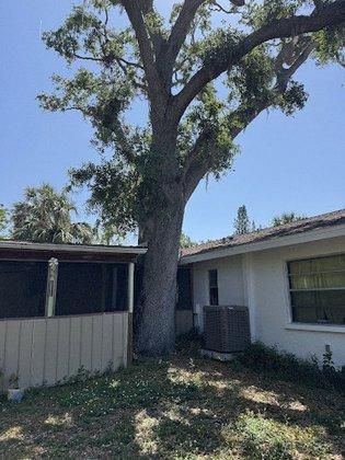 T.B.B Tree Service