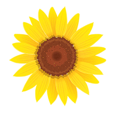 Sunflower Springs