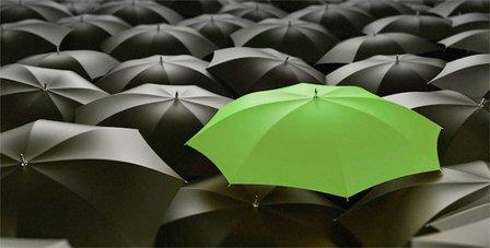 Barnes Walker Attorneys in Bradenton