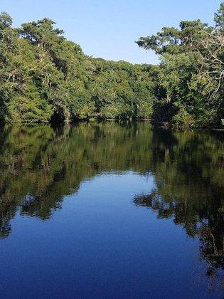 Potts Wildlife Management Area