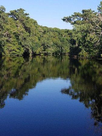 Potts Wildlife Management Area