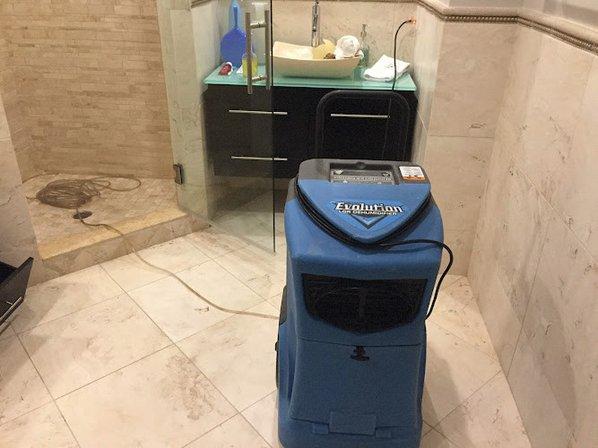 Discount Water and Mold Removal LLC