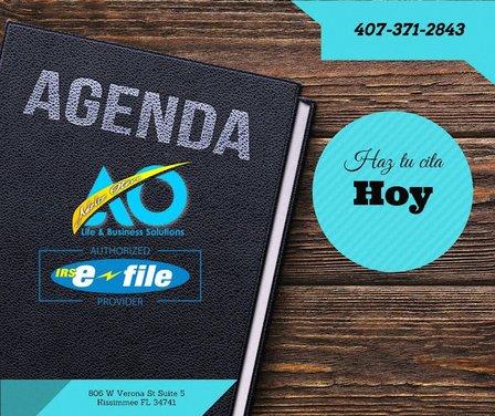 Adeliz Otero Life & Business Solutions LLC