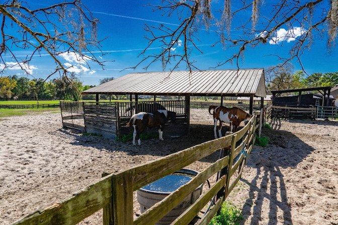 Happy Acres Ranch