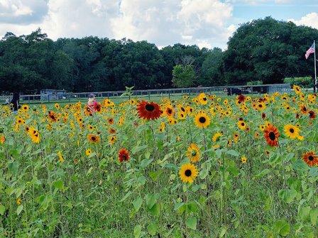 Beasley Farm