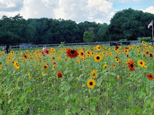 Beasley Farm
