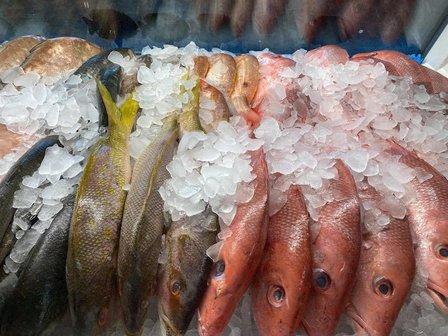 From Boat to Table , Hernando Beach Seafood Fresh Fish