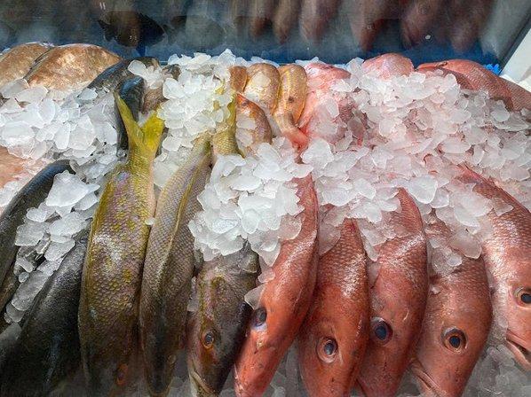 From Boat to Table , Hernando Beach Seafood Fresh Fish