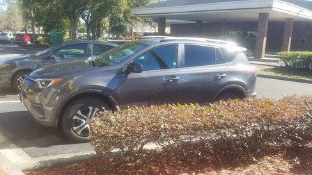 Avis Car Rental