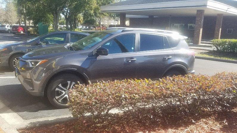 Avis Car Rental