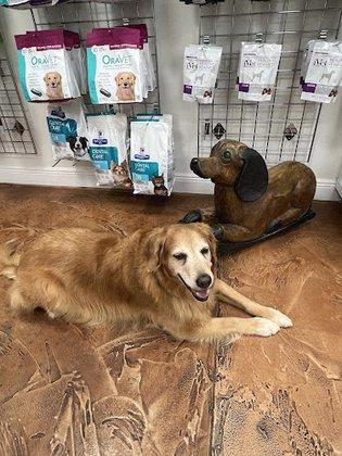 Venice Pines Veterinary Clinic