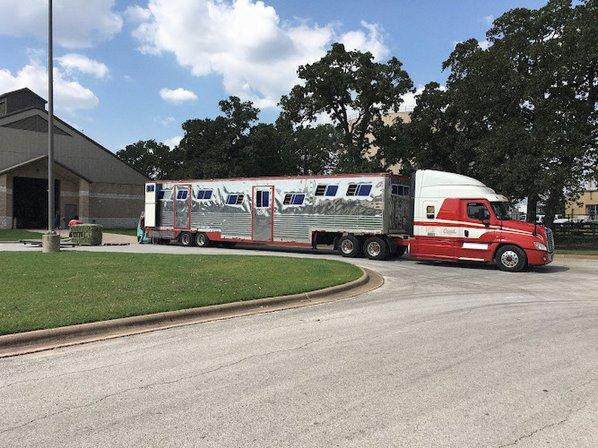 Creech Horse Transportation