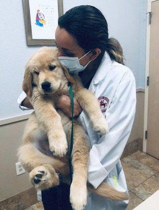 Flora Family Vet