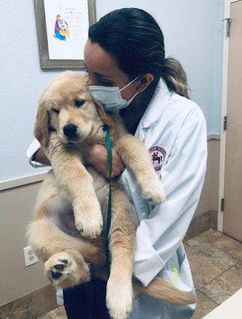 Flora Family Vet