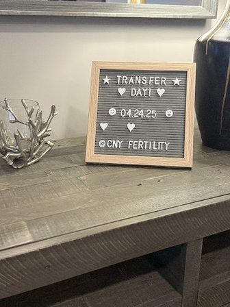 CNY Fertility Sarasota