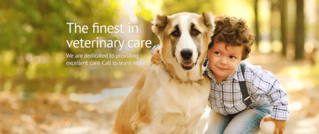 Palmer Ranch Animal Clinic