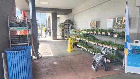Walmart Garden Center