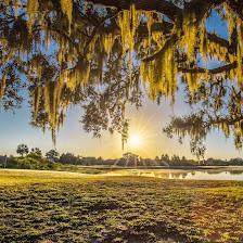 Kissimmee Bay Country Club